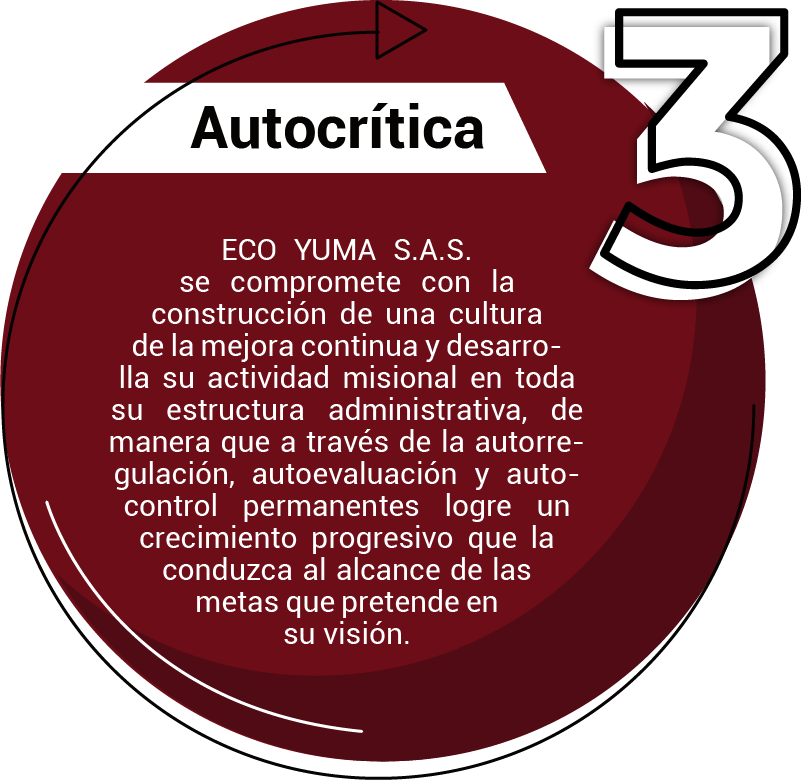 AUTOCRÍTICA
