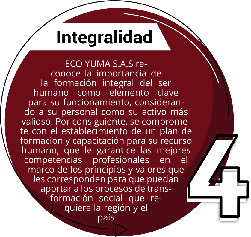 INTEGRALIDAD