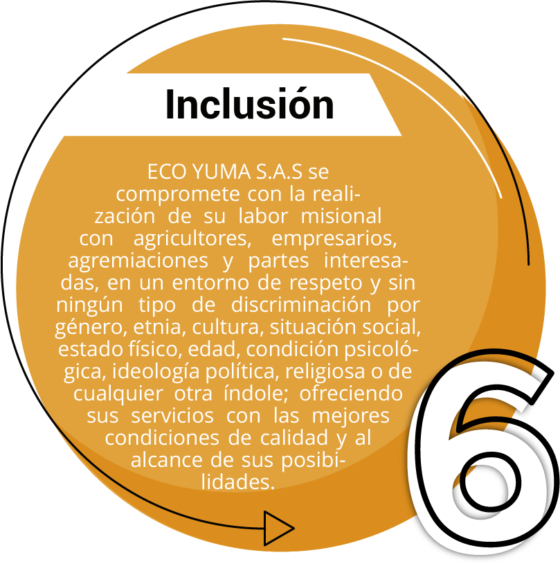 INCLUSIÓN