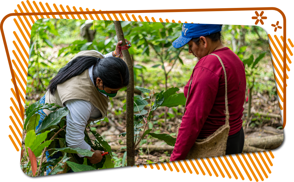 Servicios agropecuarios