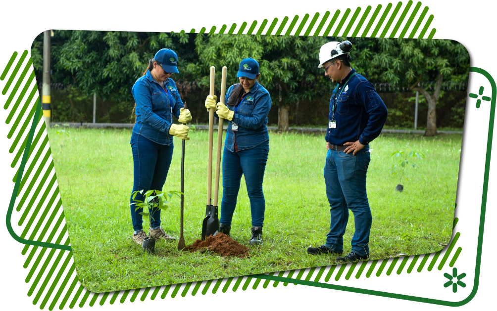 Servicios ambientales