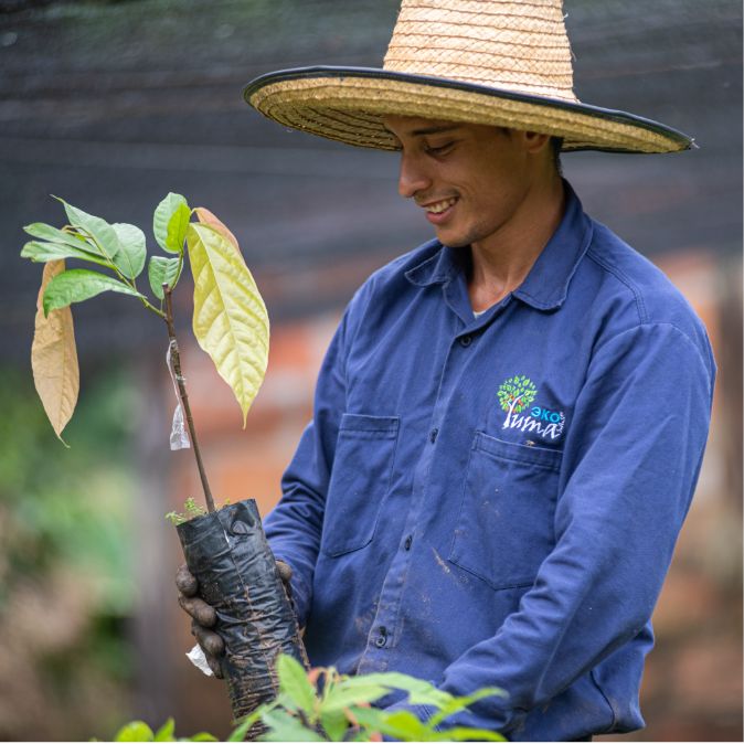 Consultoría agropecuaria
